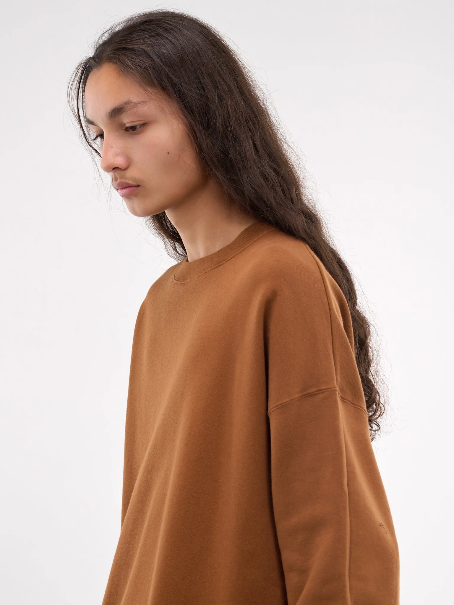 Crewneck Sweatshirt (SL24FW-FTCN-BRW-BROWN)